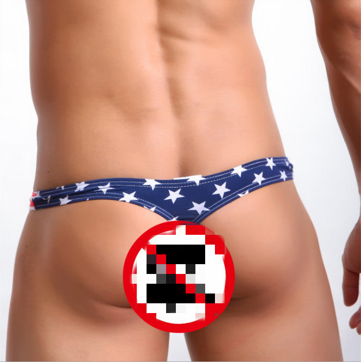 American Flag Men's Bikini Briefs